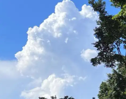 洛龙天气预报,洛龙7天天气预报,洛龙15天天气预报,洛龙天气查询